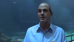 VOICED : AquaRio el acuario mas grande de Sudamerica News Clip