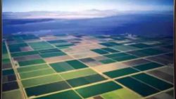 NSF Science Now 6 Instructional Video