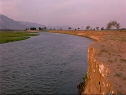 LS Southern Carmine Bee-eaters (Merops nubicus) flying and landing on river bank, distant misty mountain horizon, Mana Pools, Zimbabwe Stock Footage