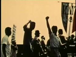 United Farm Workers (UFW) labor struggle Stock Footage