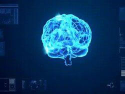 Human Brain neuron Scan animation Stock Footage