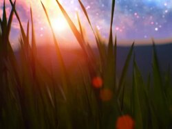 Sunset over grass (loopable) Stock Footage