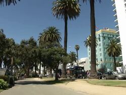 People enjoying the sunshine in Santa Monica News Clip
