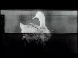 WETTER WATER - News Clip