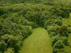HD: Heli Shot Of A Green Landscape Stock Footage