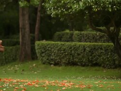 Boy and girl throwing flowers in the garden  Stock Footage