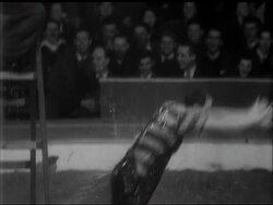 AT THE CIRCUS News Clip