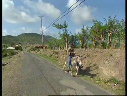 MONTSERRAT: SHOWER OF VOLCANIC DEBRIS FALLS ON SAFE ZONE News Clip