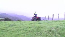 VOICED: Possum pest feeds thriving fur industry in New Zealand News Clip