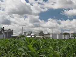 Spring Cornfield with Ethanol Plant in the Background Stock Footage