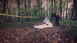 Crime Scene Investigation Stock Footage