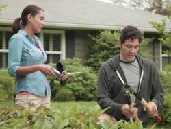 MS Couple gardening / Portland, Oregon, United States Stock Footage