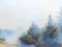 Wildfire HD loop Stock Footage