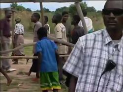 Singer touring area, welfare NGO comments on adoption bid News Clip