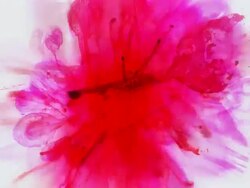 FROM BLOOD : centrifugal & centripetal (LOOP) Stock Footage