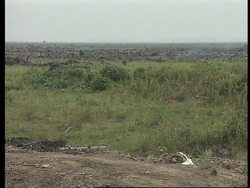 Indonesia - Fires caused by governement policy News Clip