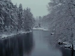 WS View of Winter scenic river and snow covered trees with snow falling / Tuners Falls, Massachusetts, United States Stock Footage