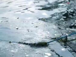 Water Pollution Stock Footage