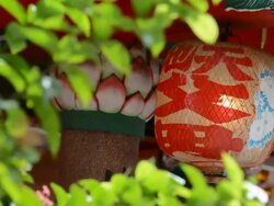 Chinese lamp and leaf Stock Footage