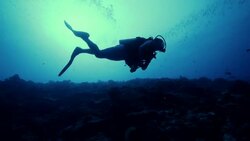 Deep sea scuba diving in the Pacific Ocean Stock Footage