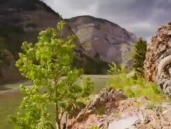 Time lapse of cattle skull and storm clouds in canyon Stock Footage