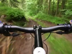 Mountain Biking Through Green Forest TL POV Stock Footage