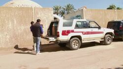 Stray animals find a home in Egypt's only pet sanctuary News Clip