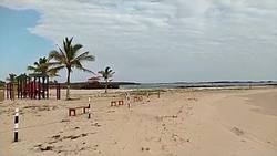 Virus hits tourism on Ecuador's Galapagos islands Instructional Video