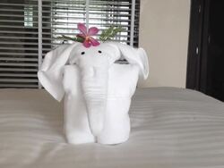 Towel Elephant Stock Footage