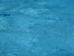 Crystal Blue Waters Stock Footage