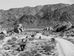 Stagecoach racing through the desert Stock Footage