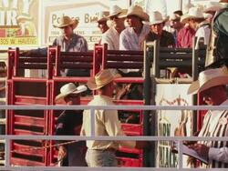 Cowboys sit on fences and wait near horse chutes at a rodeo - shot in slow motion. Stock Footage