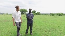 Drones keep elephants away from people in Tanzania News Clip