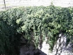 Erice, castle of Venus, well of Venus in the sanctuary Stock Footage