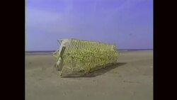 Theo Jansen: My creations, a new form of life Instructional Video