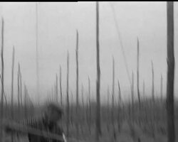 STRING ALONG News Clip