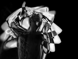 Abstract Silhouette Stock Footage