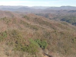 WS AERIAL View of trees covered mountain area in Nantahala National Forest / North Carolina, United States Stock Footage