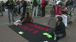 VOICED : Reclaman por marihuana legal News Clip