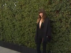 Lou Dillon at The Museum Of Contemporary Art, Los Stock Footage