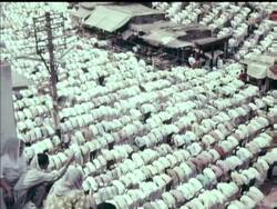 THE 'ID' FESTIVAL- COLOUR News Clip