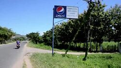 VOICED : 11000 cocodrilos se mueren de hambre en Honduras News Clip