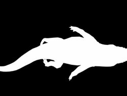 Floating Crocodile  (Loopable) Stock Footage