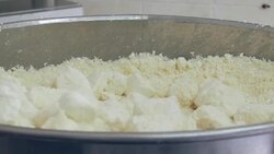 Dairy - cheese production Stock Footage