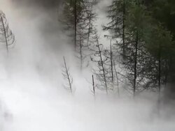 HD Flood Waves Destroying Forest Stock Footage