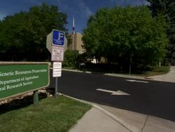 Slow pan of the outside of the facility. Stock Footage
