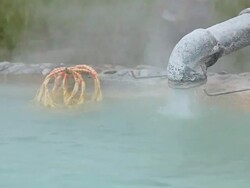 Thermal springs Stock Footage