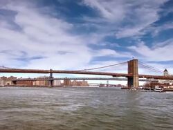 New York Stock Footage