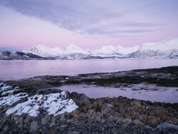 Aurora Borealis, Northern Lights, Troms region, Norway Stock Footage