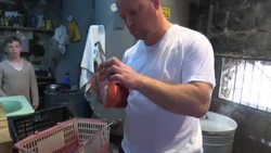 Gorillas get Passover gifts in Israeli zoo News Clip